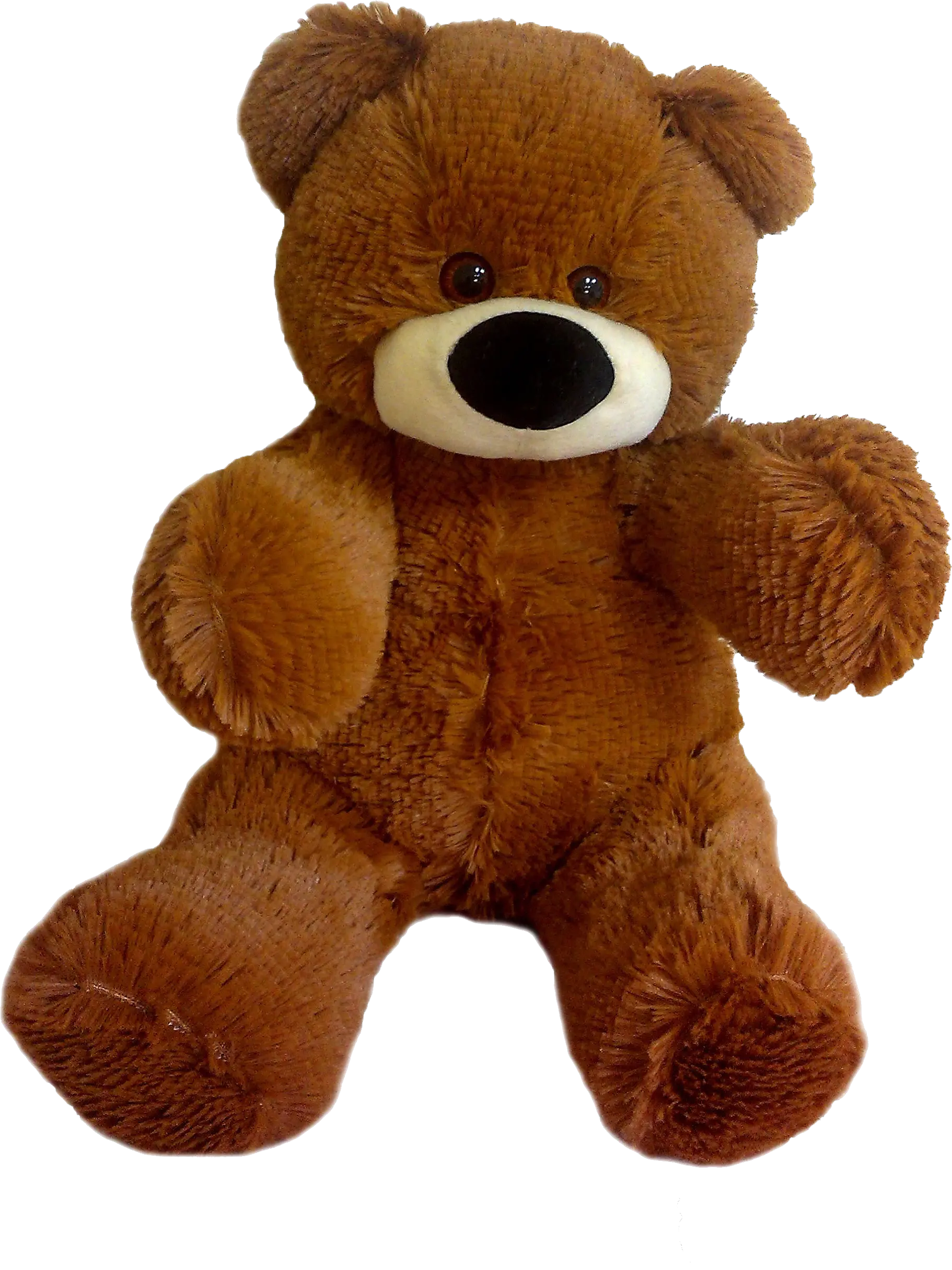 Teddy bear PNG