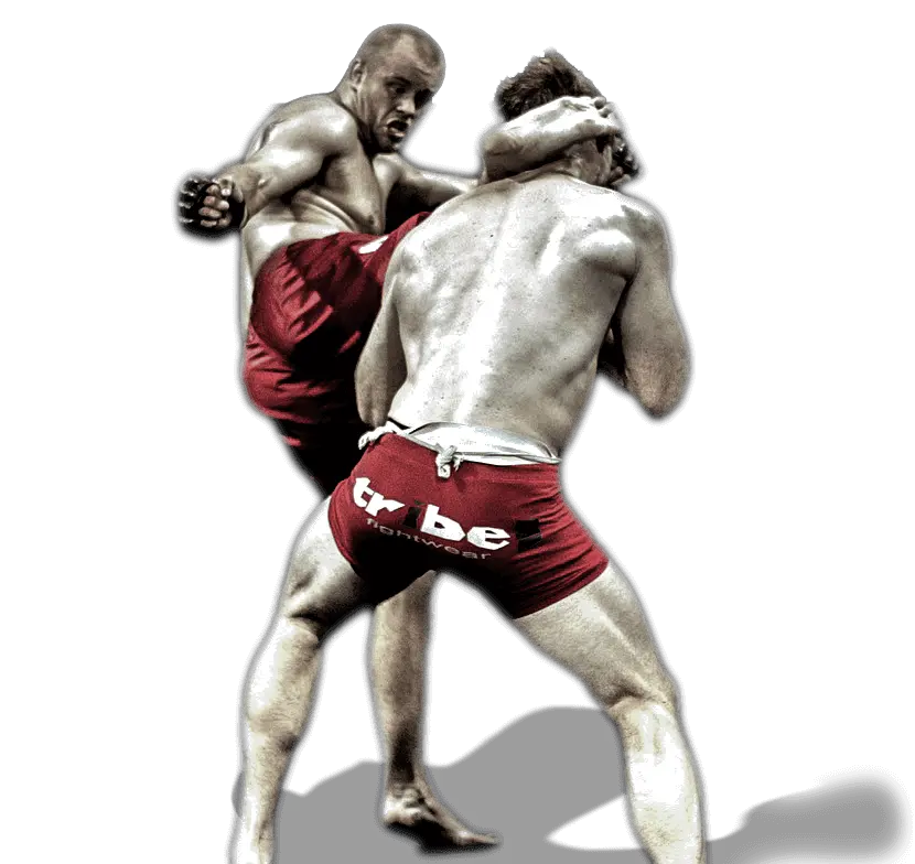 Mixed martial arts PNG MMA PNG