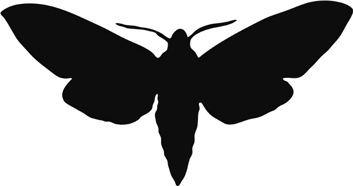 Moth PNG