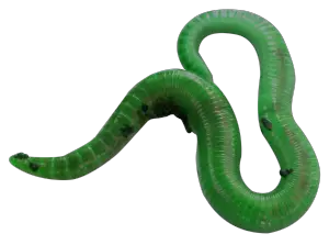 earthworm worm PNG