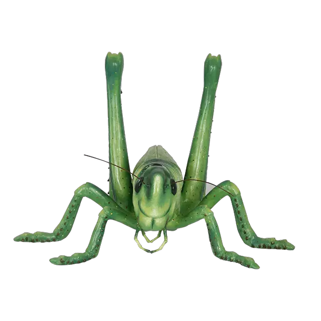 Grasshopper PNG