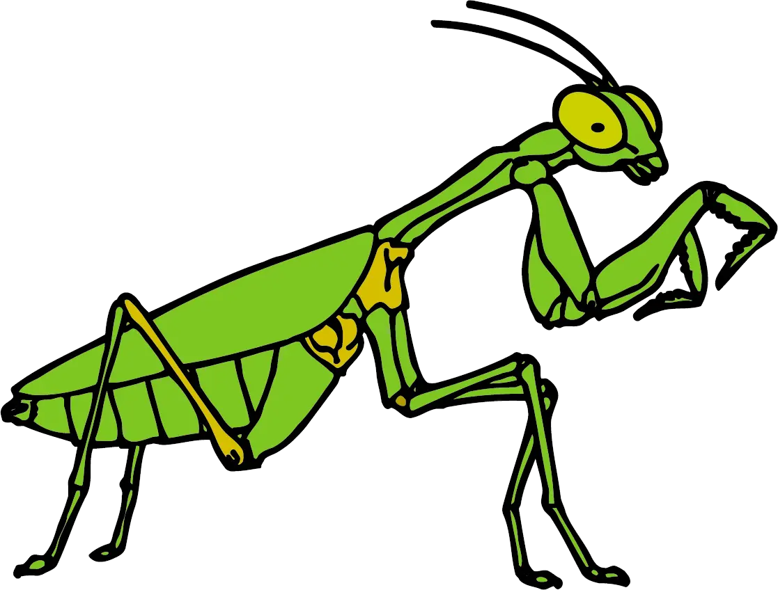 Mantis PNG