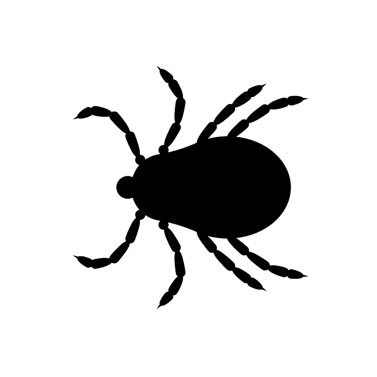 Tick insect PNG