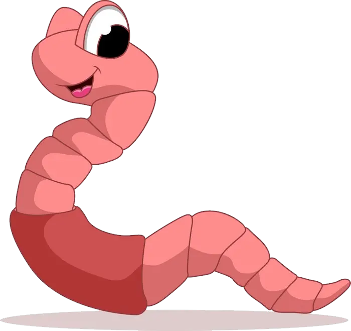 earthworm worm PNG