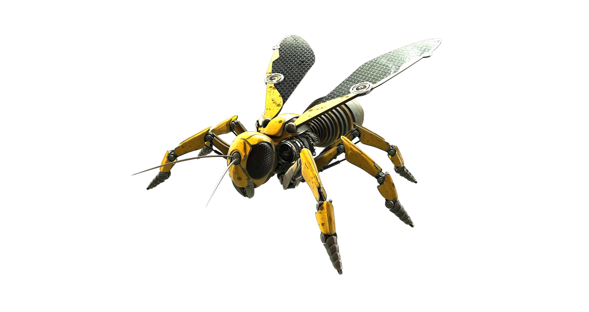 Wasp PNG