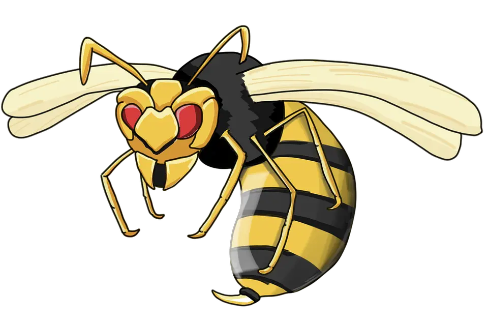 Wasp PNG