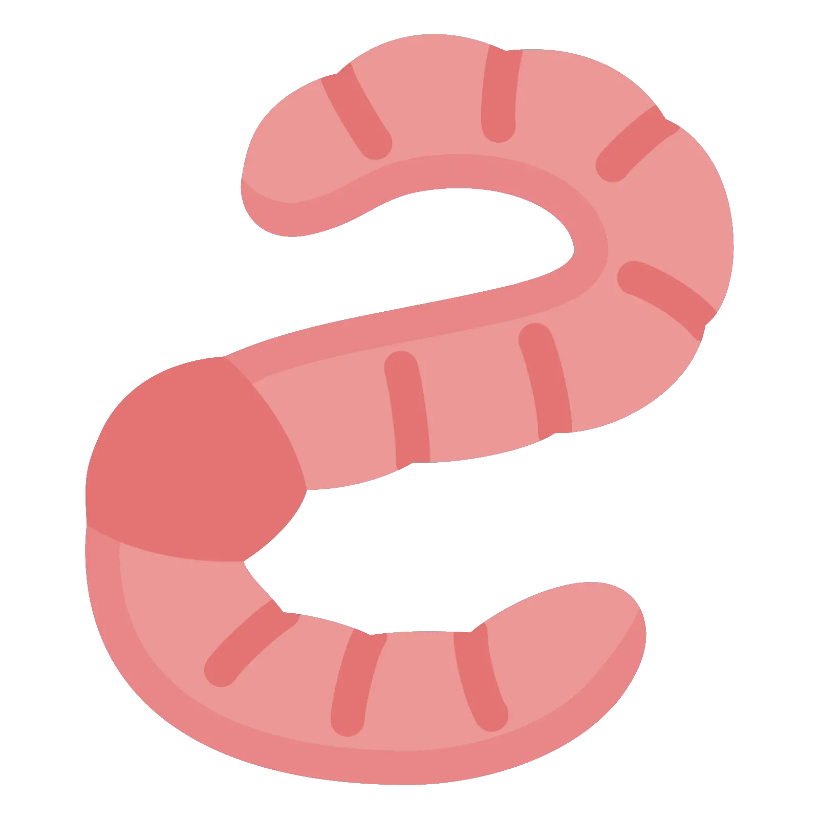 earthworm worm PNG