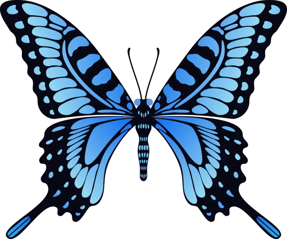 Blue butterfly PNG image