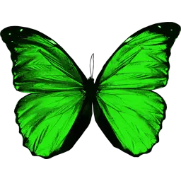 Green flying butterfly PNG image