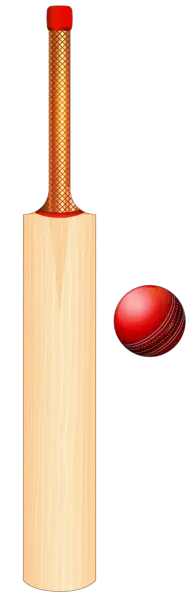 Cricket bat PNG