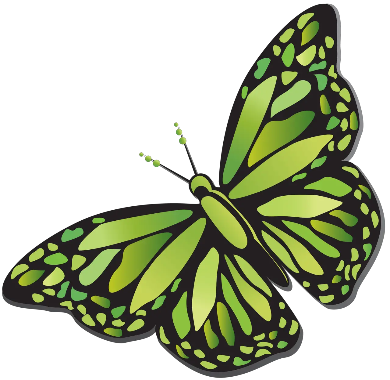 big green butterfly PNG