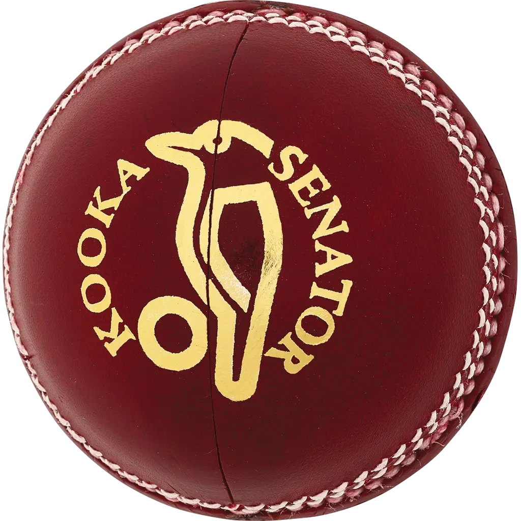 Cricket ball PNG