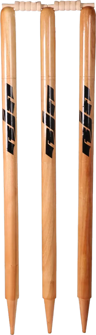 Cricket PNG