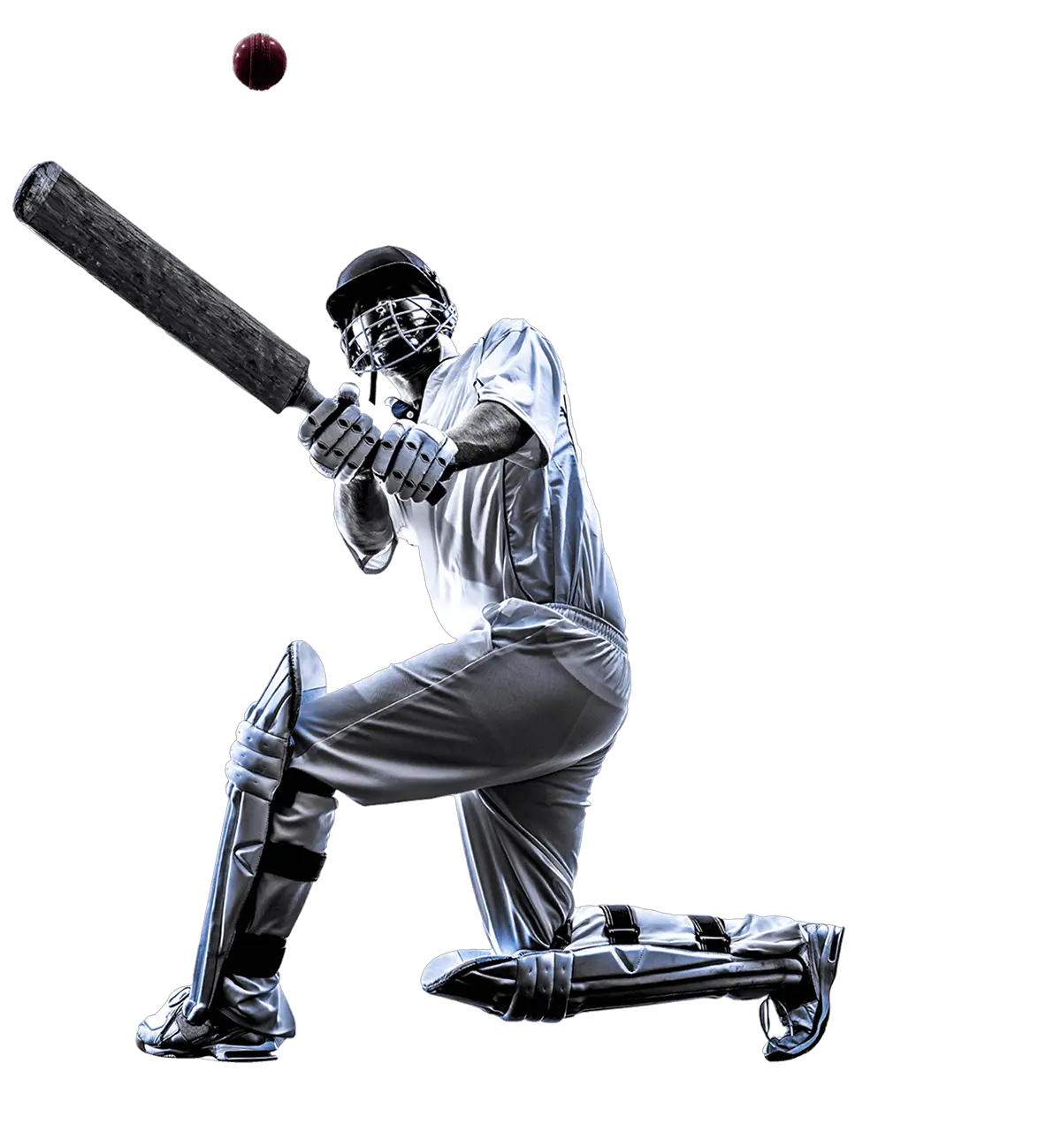 Cricket player PNG