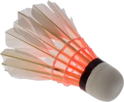 Badminton volant PNG image