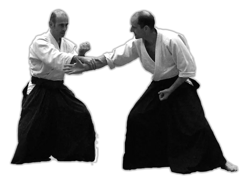 Aikido PNG