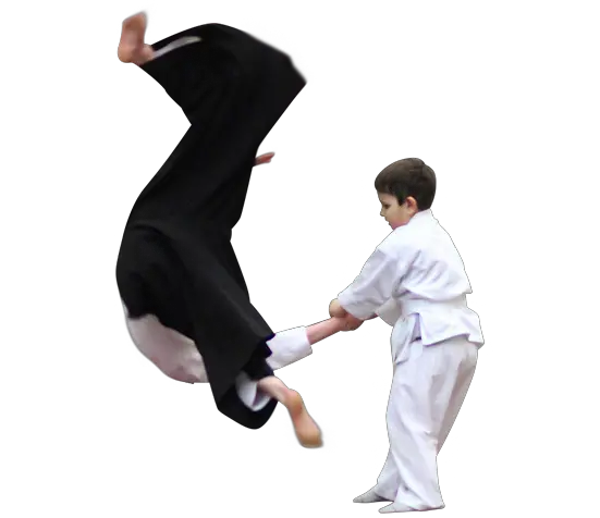 Aikido PNG